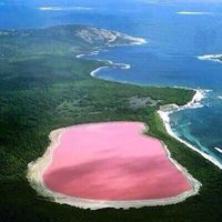 _____٤ (@_4_4_h) 's Twitter Profile