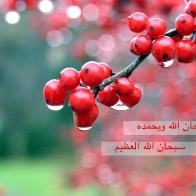أكتب ما يروق لي .. ولا تعبر عن شخصيتي !!  تحذفني اعرف نفسك محذوف .. فكر فيها جيداً قبل التنفيذ !!