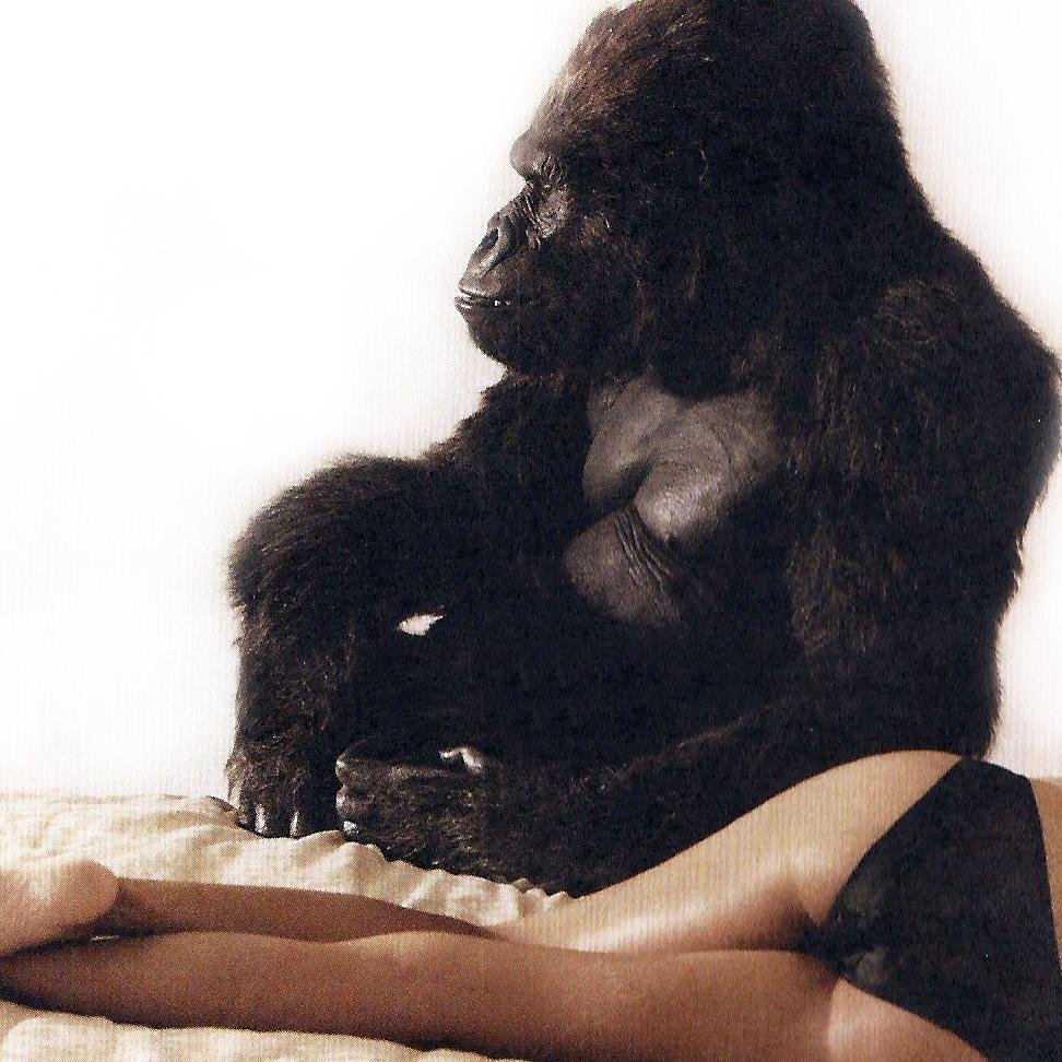 Life is better in a gorilla suit.