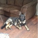 Rene Anderson - @ReneAnderson17 - Twitter