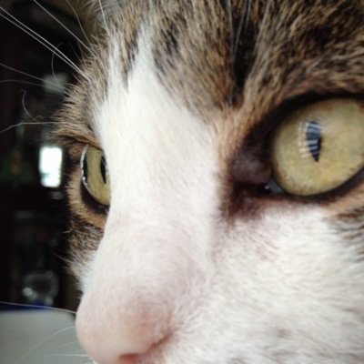 Pbarbosa18's profile picture. 