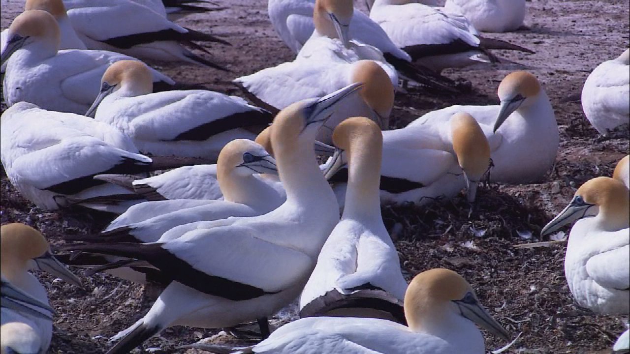 lourdestim's profile picture. 