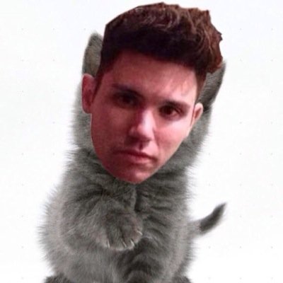 kittenryanross's profile picture. Meow meow thats hi im a kitten in cat