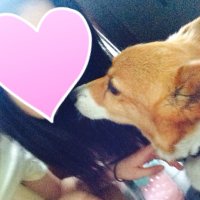 えみ (@_murasakie) 's Twitter Profile