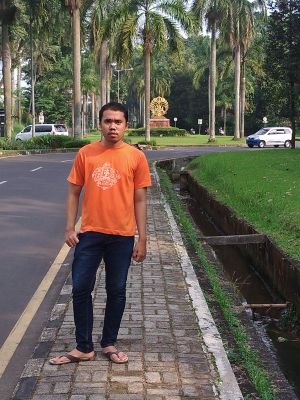 Sekolah Tinggi Akuntansi Negara,