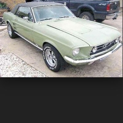 TomMustang67's profile picture. 