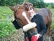 Equestrian. Creative. Policy Wonk.