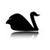 Katherine Whitbread (@practicethewild) Twitter profile photo Katherine Whitbread (@practicethewild) Twitter profile photo