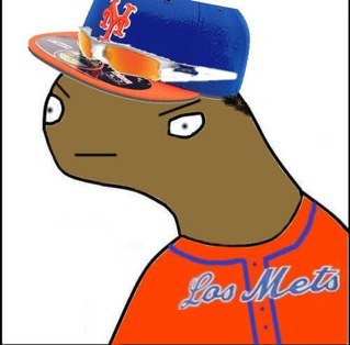 Redskins NY Rangers Mets Knicks l Duke l Am acshuly #Stud Maed July 23rd 2013