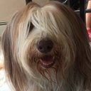 Michael Silbert - @SilbertMichael - Twitter