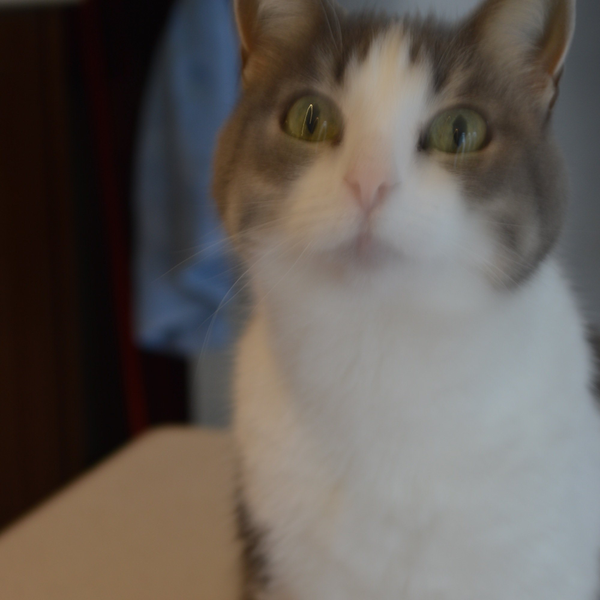 yassmina58's profile picture. 