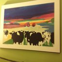 Jared Rock - @jaredrock18 - Twitter