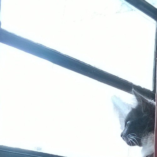 momentomosca's profile picture. La culpa la tiene la mosca.    SÍGUEME Y TE SIGO!!