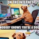 Cameron Collard - @Baronvonbeefdip - Twitter