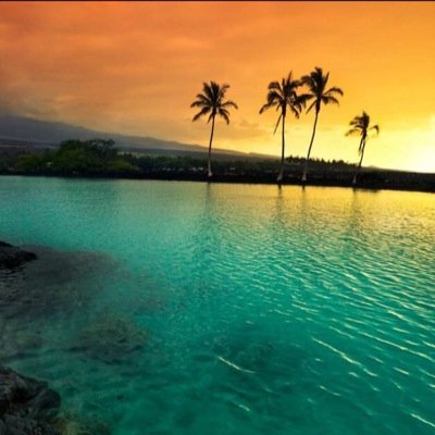 SharonWalder's profile picture. Physical Therapist by day. Fitness enthusiast, Disney lover, LA Kings, Dodgers, and USC fan, concert goer, and world explorer.