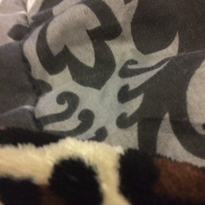 BodyBagKillaa's profile picture. 