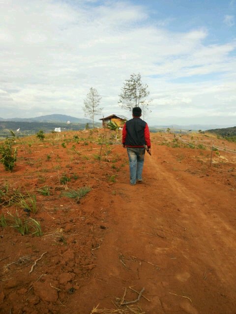 TaufiqZuhdi's profile picture. Basketball never stop