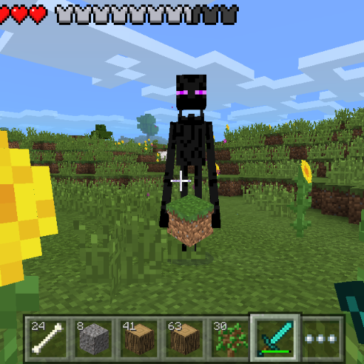 Just a random guy that lives in Nebraska that likes to play Minecraft!