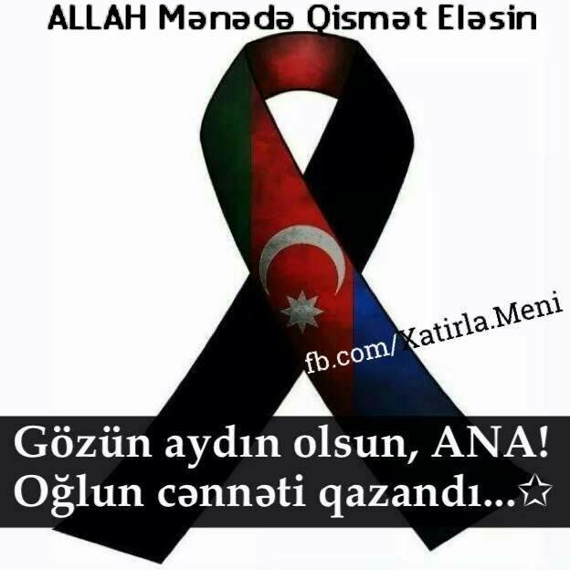 Huseynov95Niko's profile picture. 