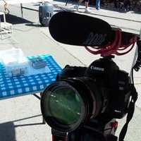 Vision Shot Films (@visionshotfilms) 's Twitter Profile Photo Vision Shot Films (@visionshotfilms) 's Twitter Profile Photo