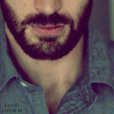 ‏‏‏- المستريح اللي من العقل خالي -