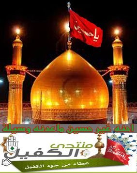 mohsenseaa77's profile picture. 