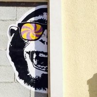 AI Weiwei (@hereismyhandle) 's Twitter Profile