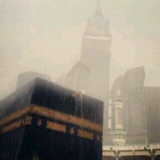 ‏لو أدركت القلوب عظمة الله لكان شهيقها القرآن، و زفيرها الذكر، ونبضها الدعاء♡' ( الخاص ممنوع)