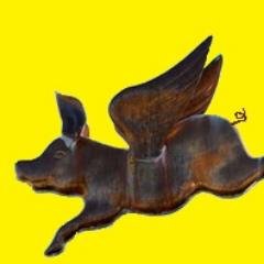 Pigs do Fly.