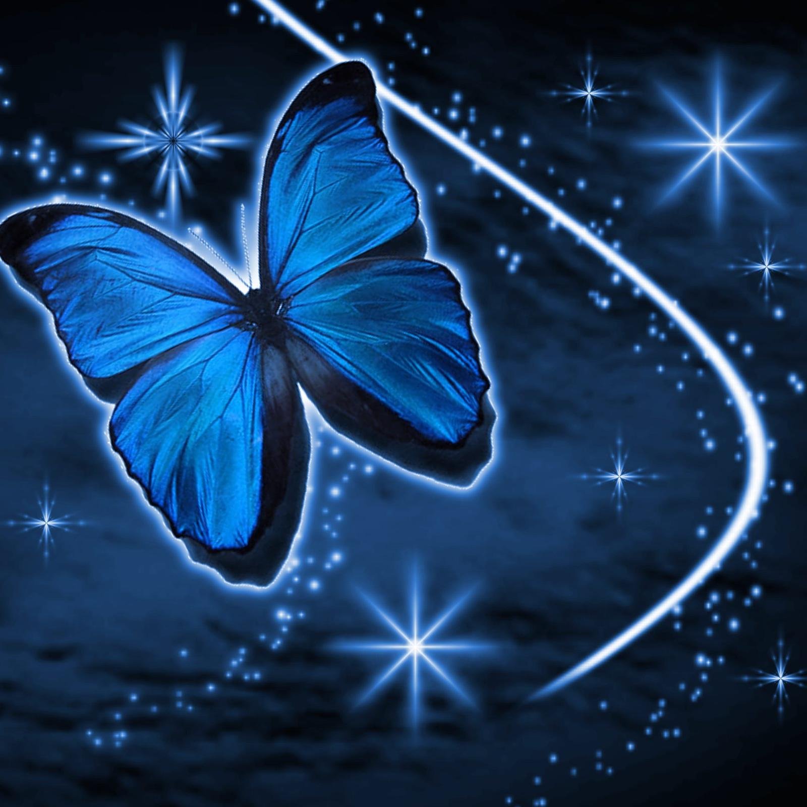 blueb218's profile picture. 