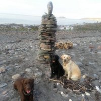 Jan (@janhatesmarmite) 's Twitter Profile