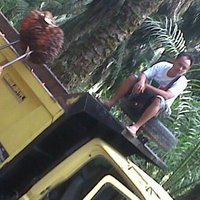 Cucakrowo (@wikbowo) 's Twitter Profile Photo