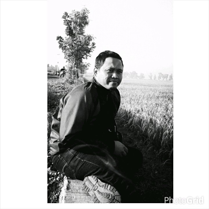dwi_ista