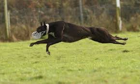 conorcullen12's profile picture. Wexford