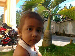 saharadakosta77's profile picture. 