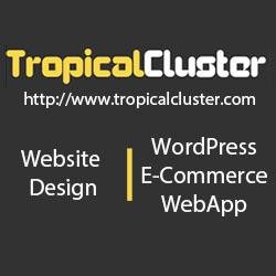Website Designer & Developer