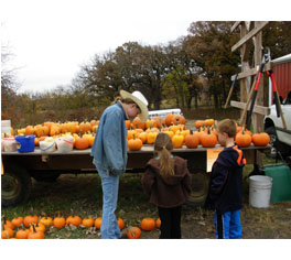 Lazy T Ranch - Adventures in the Flint Hills - farm and ranch visits, stays and venue on a historic Flint Hills ranch