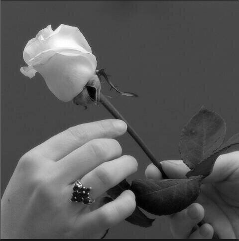 ‏‏الحمدلله الذي جعل في ذكره....راحه لعباده..