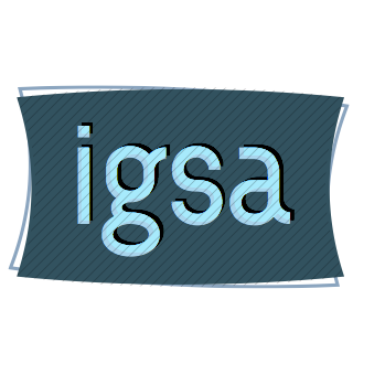 The International Girls Studies Association is a professional association for academic researchers and students working on girls and girlhood.