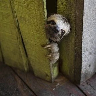 bestiolesdujour's profile picture. Des bestioles, des jours … #bestiolesdujour