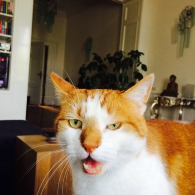 InfoWilbert's profile picture. 