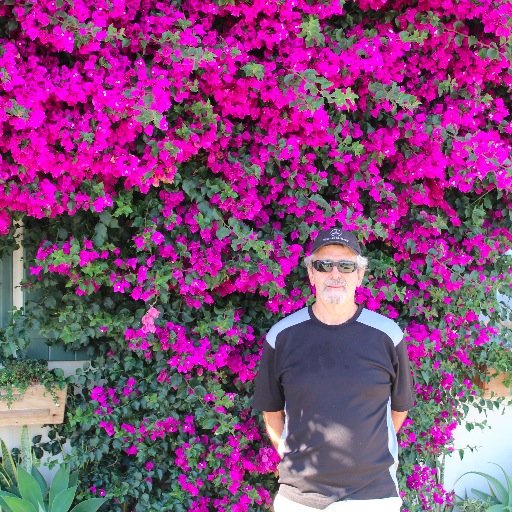 B2318278's profile picture. Born in Amsterdam, legally immigrated to USA in 1956.