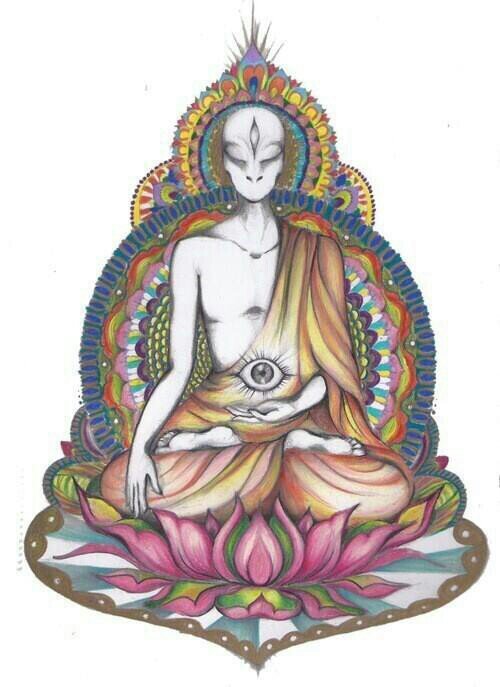 Plants are the plan, water keeps me on fire, and my divine creatures protect from vampires so don't kill life mortal.