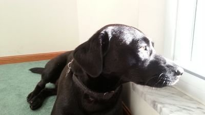 RyanEiding's profile picture. 