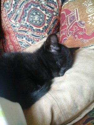 kate_awsome's profile picture. 