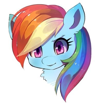 Names Rainbow Dash! I'm the only fastest and most awesome pegasus in Equestria EVER! Also an awesome daytime weather pony.