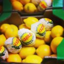 Tory Clark - @Una_Tostada_ - Twitter