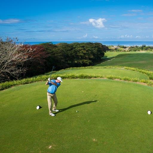 WorldGolfFocus's profile picture. 