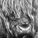 EWAN MCLEOD - @MCLEODSCOTPHOTO - Twitter