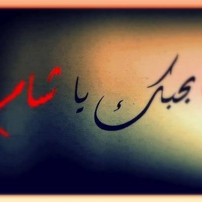 HalalGo's profile picture. 